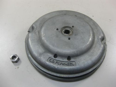 Johnson Evinrude Flywheel Assembly 389161