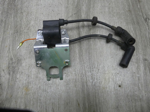 1998 Yamaha Outboard 9.9 HP 4 Stroke Dual Ignition Coil 6G8-85570-21-00